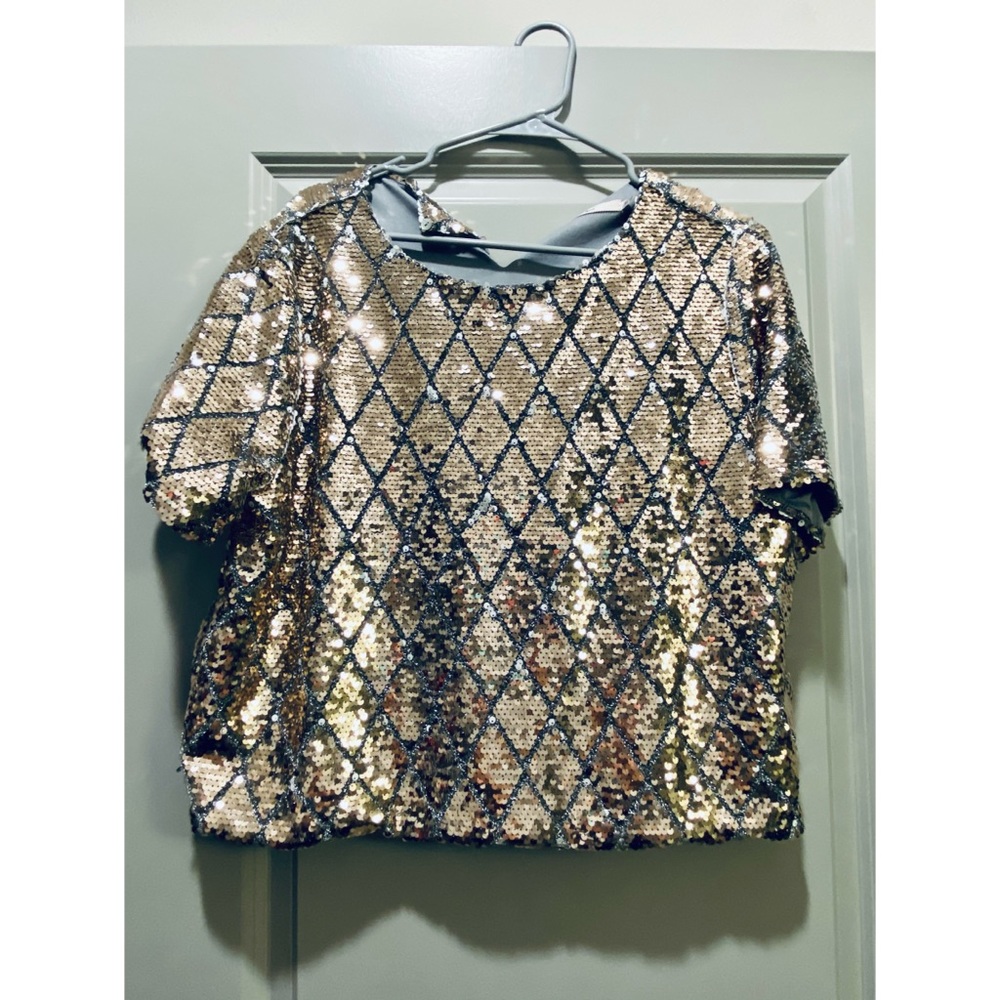 Sparkly Gold & Silver Crop Top